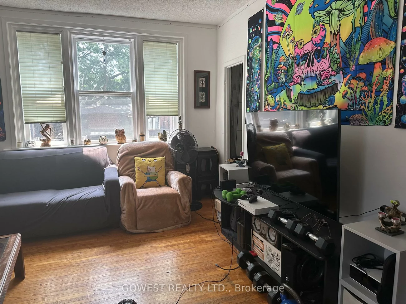 30, Grenadier, Roncesvalles, Toronto