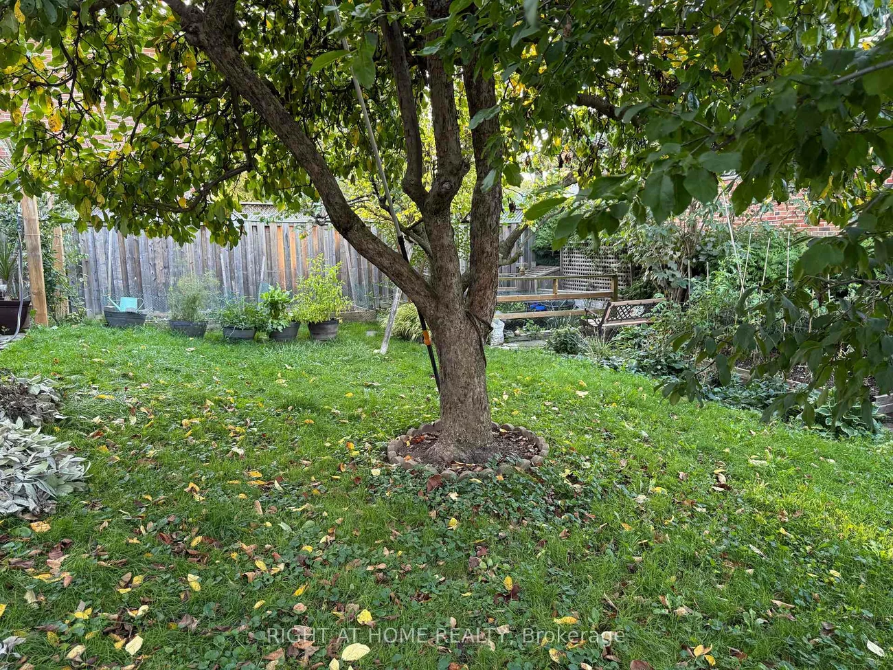 258, La Rose, Willowridge-Martingrove-Richview, Toronto