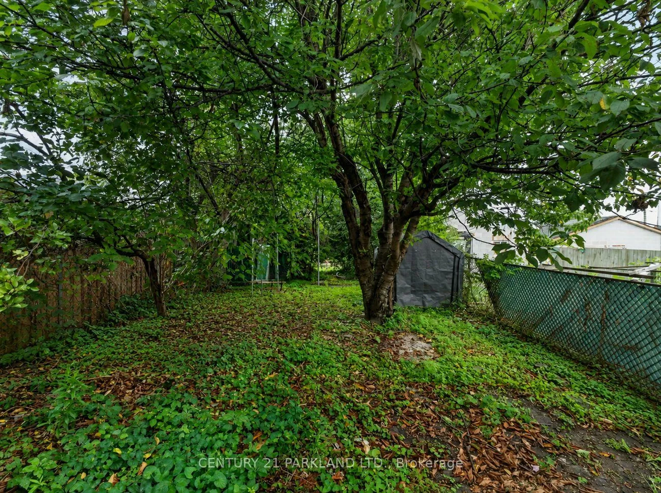 323, Nairn, Caledonia-Fairbank, Toronto