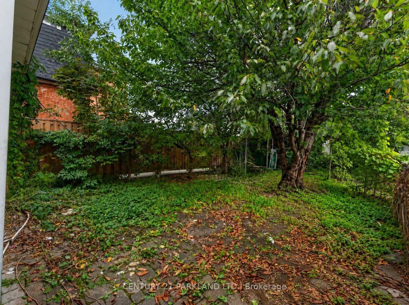 323, Nairn, Caledonia-Fairbank, Toronto