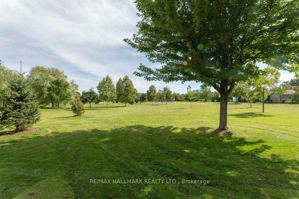 485, Evans, Alderwood, Toronto