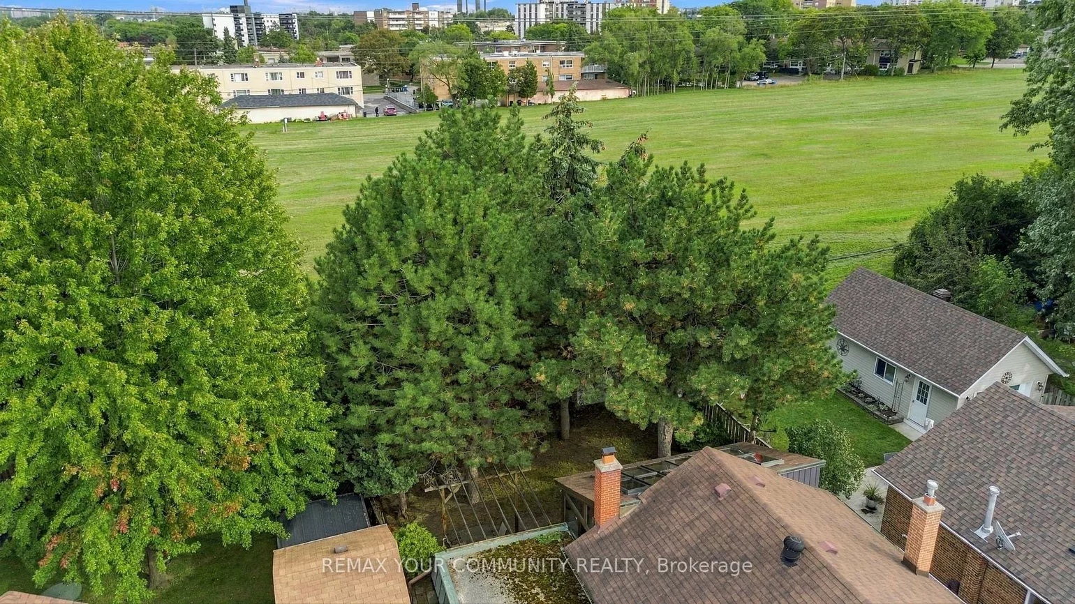 59, Redwater, Rexdale-Kipling, Toronto