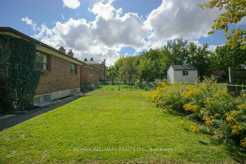 12, Tammy, West Humber-Clairville, Toronto