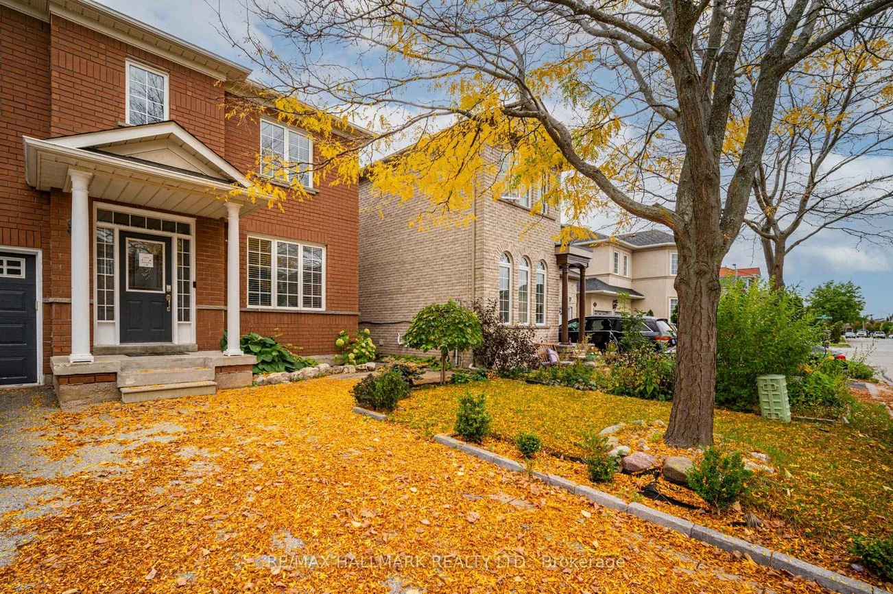 11, Rusty, Vellore Village, Vaughan