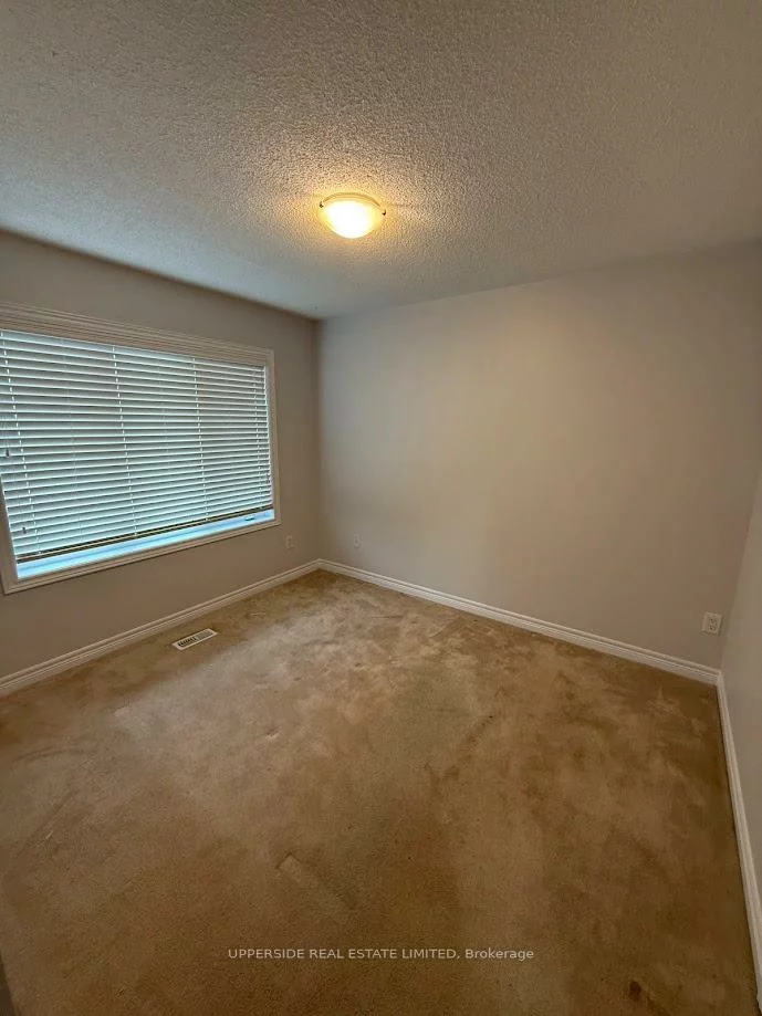 101, Paperbark, Patterson, Vaughan