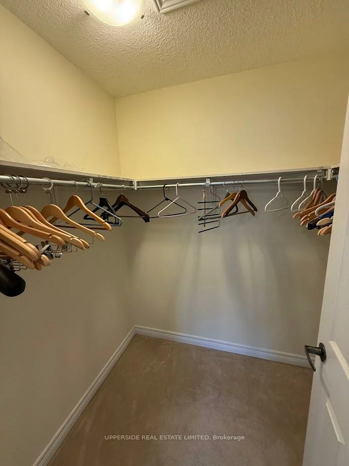 101, Paperbark, Patterson, Vaughan