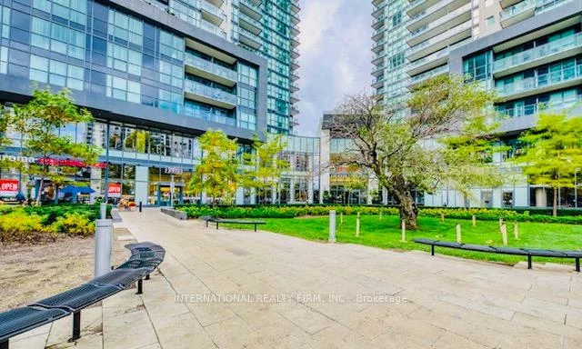 66, Paperbark, Patterson, Vaughan