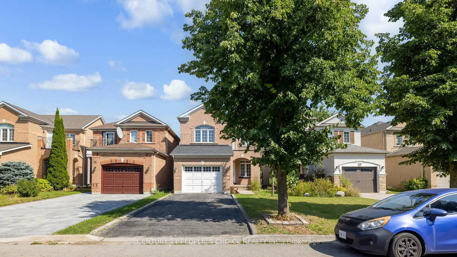 25, Willow Tree, Maple, Vaughan