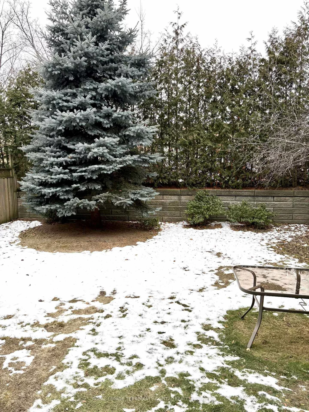 83, Chopin, Patterson, Vaughan