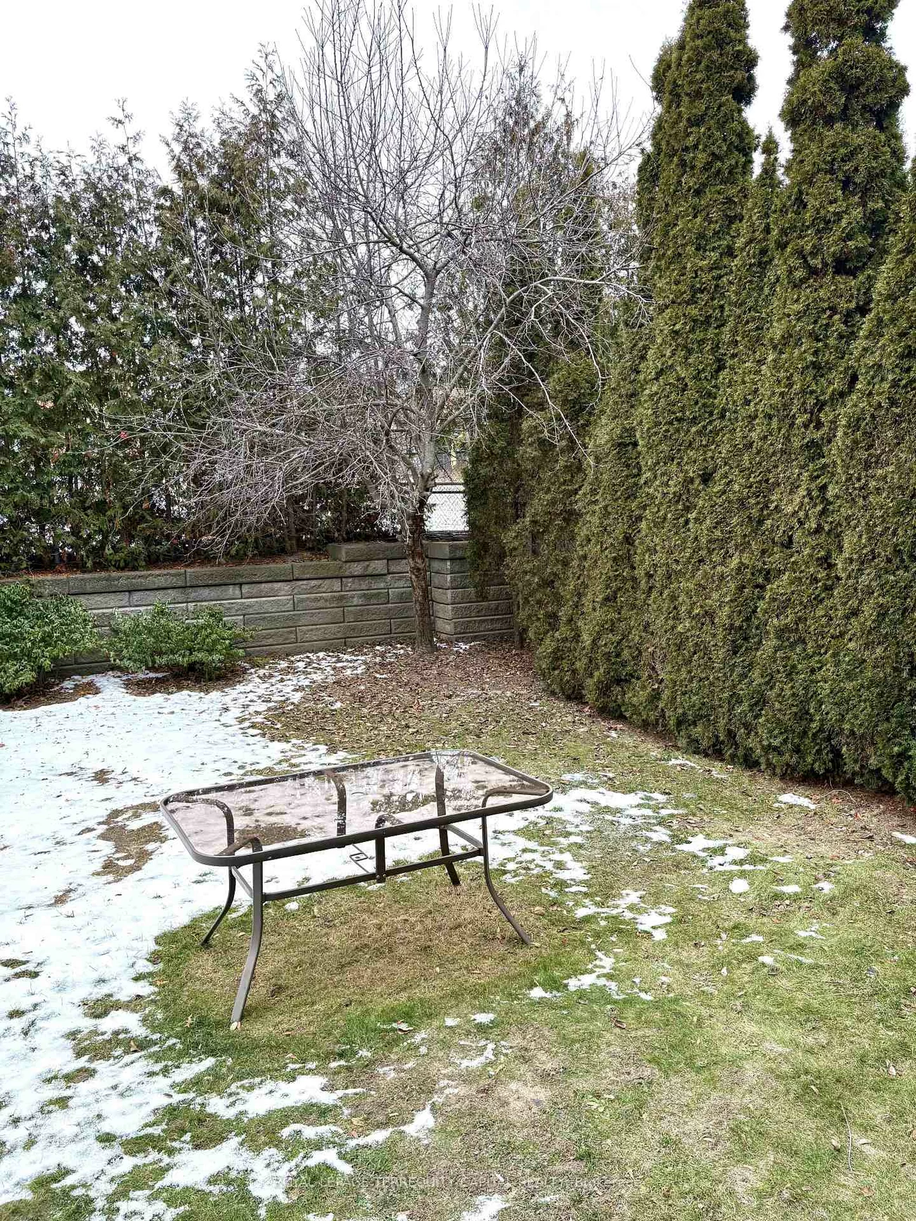 83, Chopin, Patterson, Vaughan