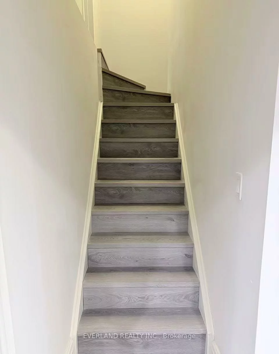 basement138, Lady Fenyrose, Patterson, Vaughan