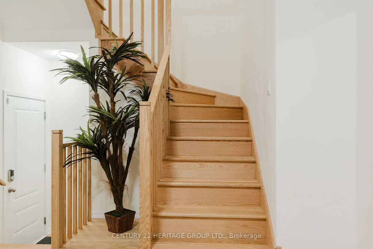 56, Rumi, Patterson, Vaughan