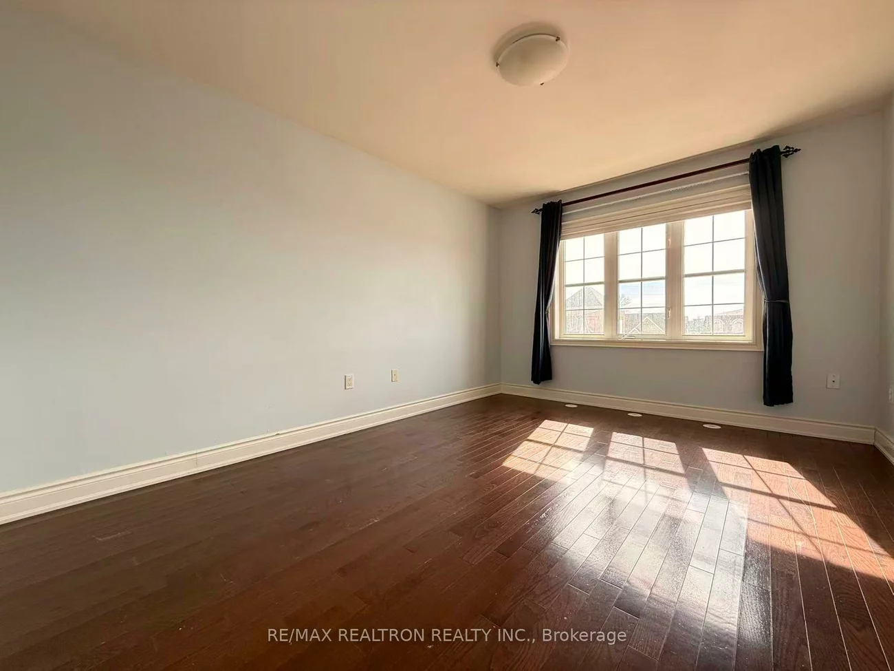 19, Golden Spruce, Maple, Vaughan