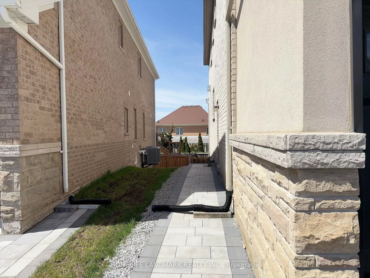 Basement 32, Allison Ann, Patterson, Vaughan