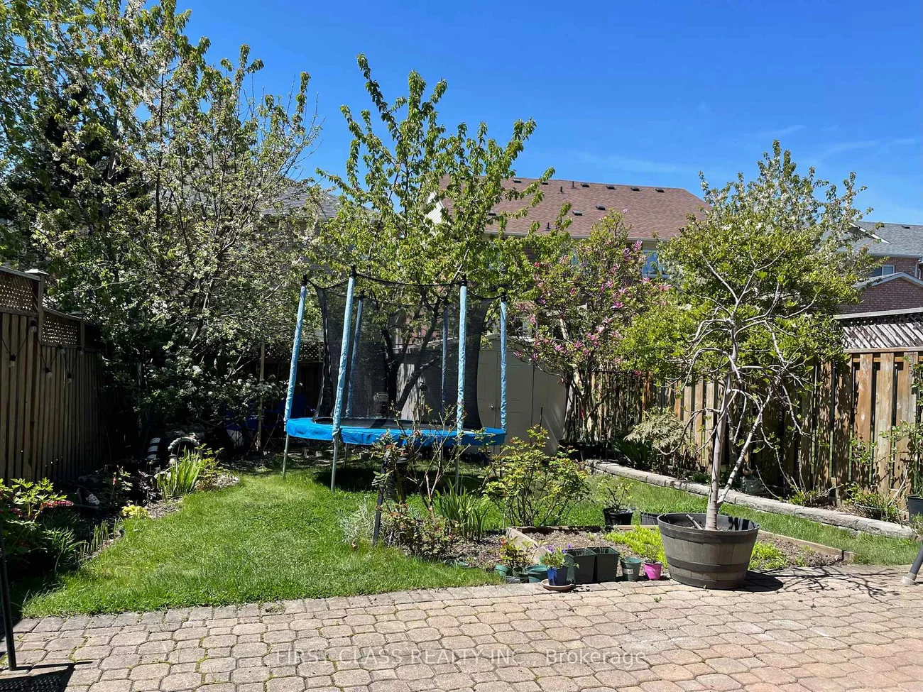 50, Belwood, Patterson, Vaughan