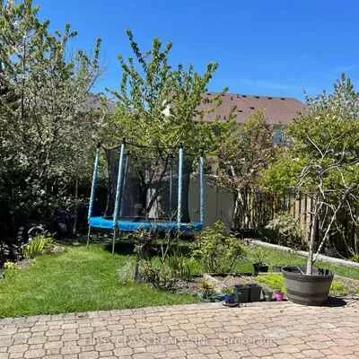 50, Belwood, Patterson, Vaughan
