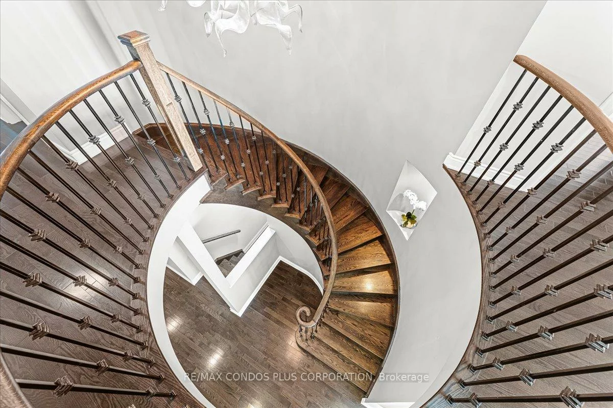 131, Lady Nadia, Patterson, Vaughan