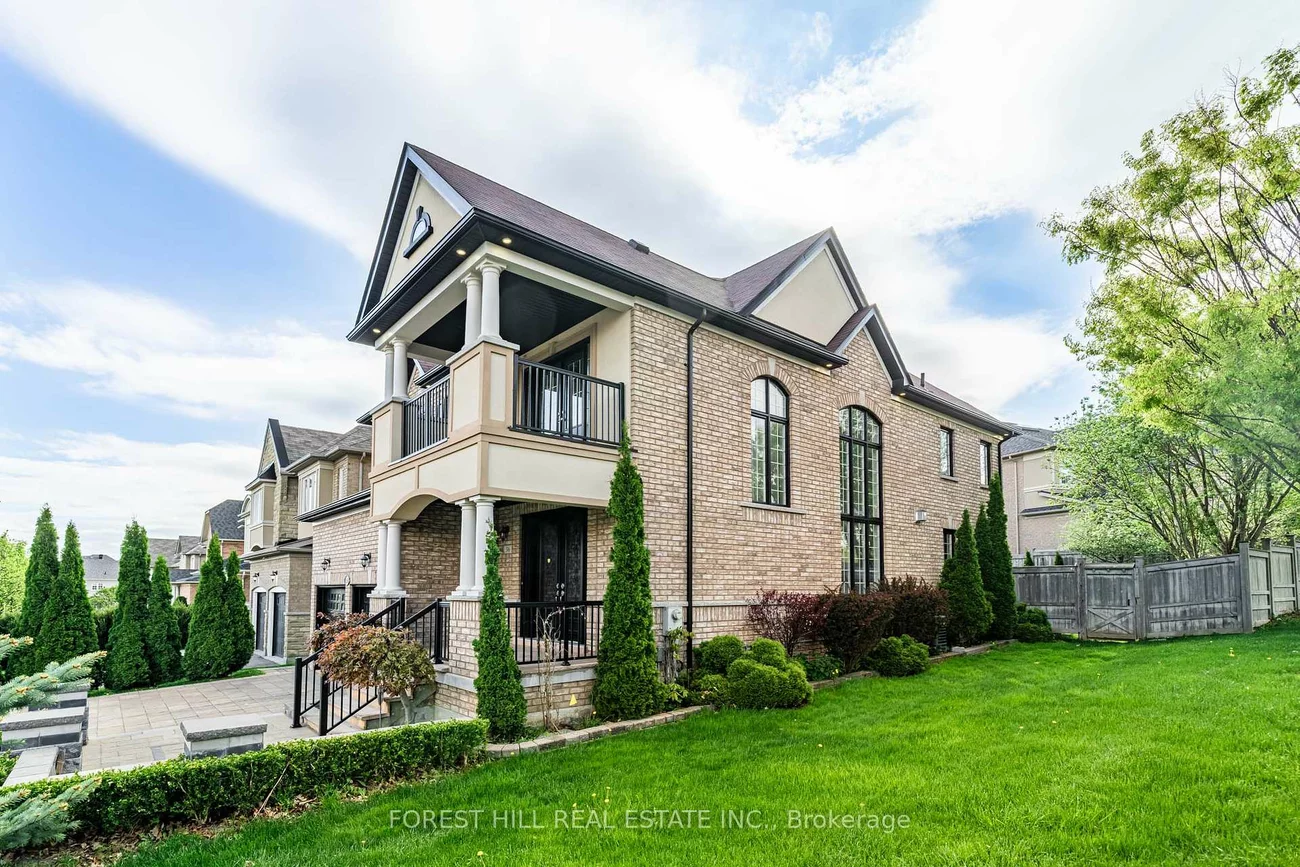 36, Zoran, Patterson, Vaughan