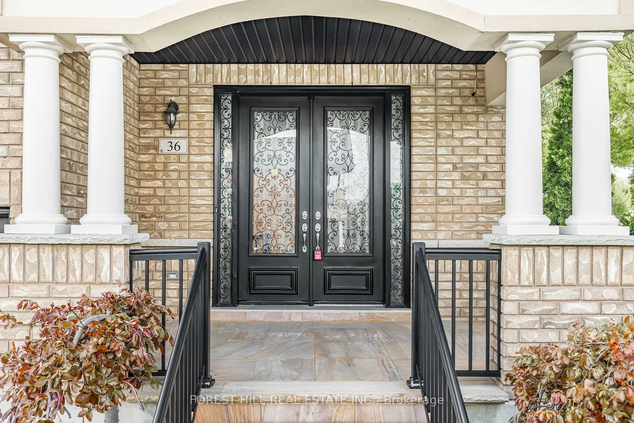 36, Zoran, Patterson, Vaughan