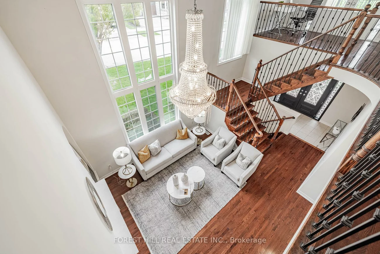 36, Zoran, Patterson, Vaughan