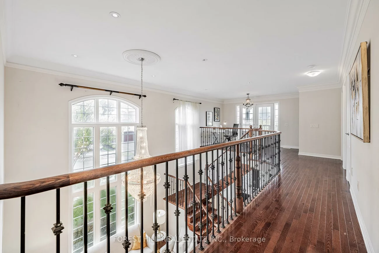 36, Zoran, Patterson, Vaughan