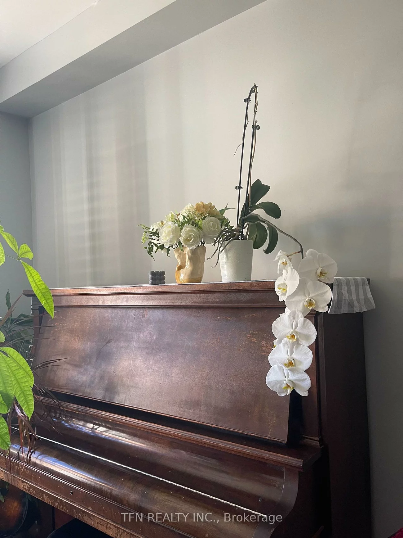 5, Belwood, Patterson, Vaughan