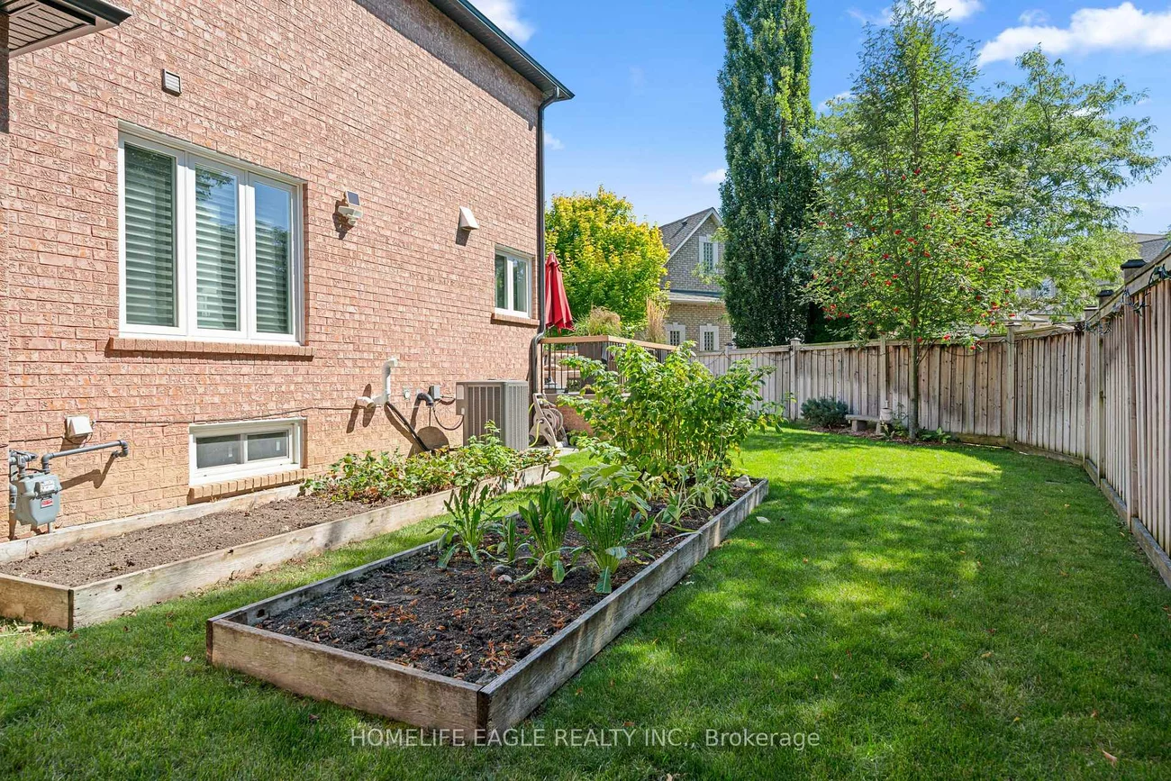 31, Modesto, Islington Woods, Vaughan