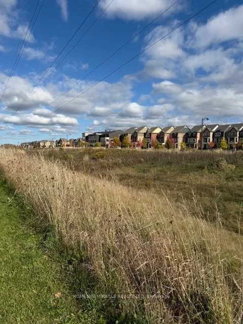 81, Morning Sparrow, Kleinburg, Vaughan