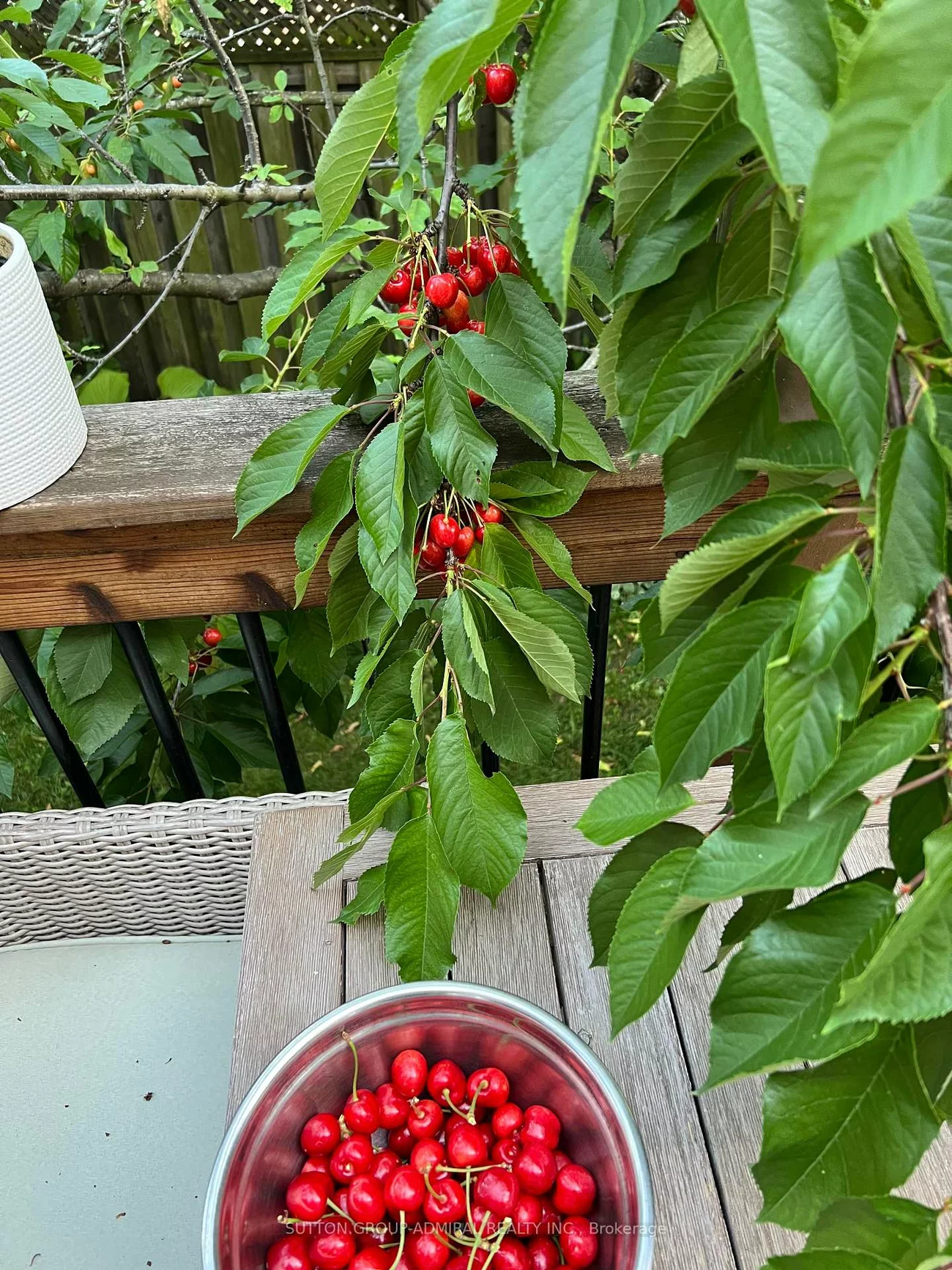 125, Thornway, Brownridge, Vaughan