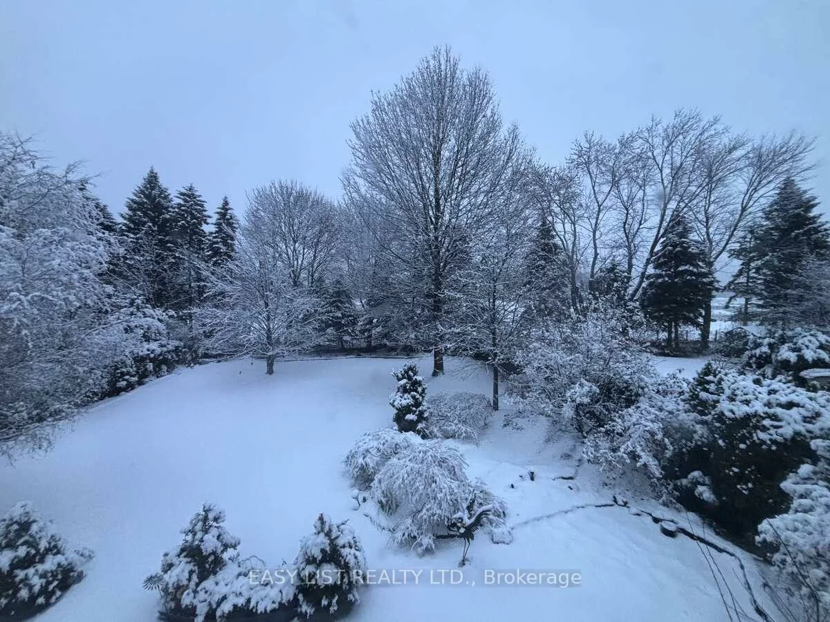 785, Clarence, Islington Woods, Vaughan