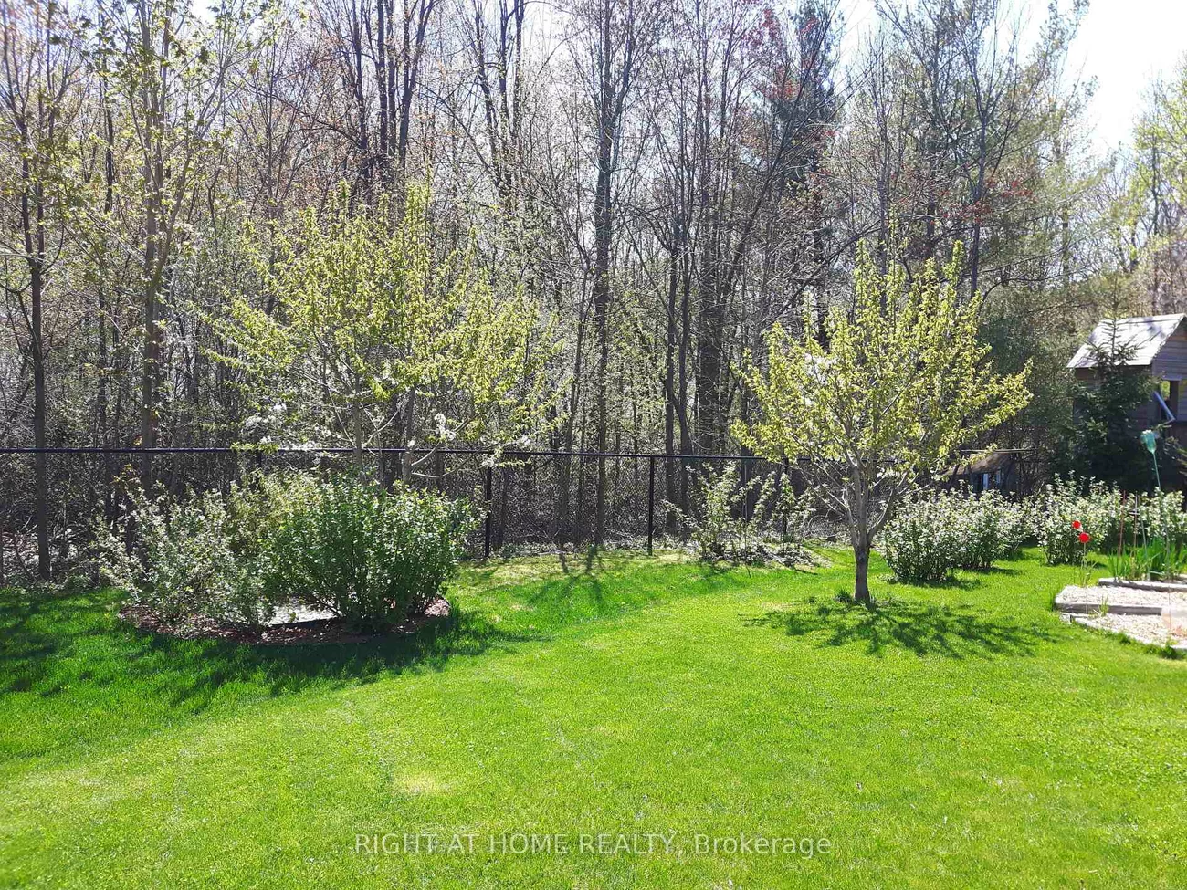 154, Peter Rupert, Patterson, Vaughan