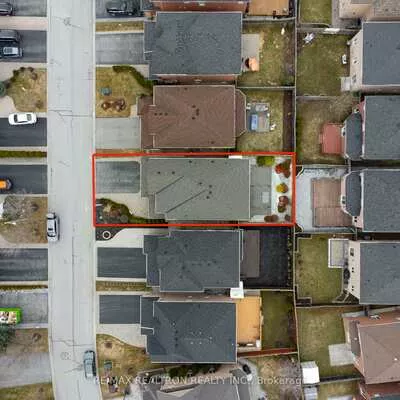 14, Daphnia, Patterson, Vaughan