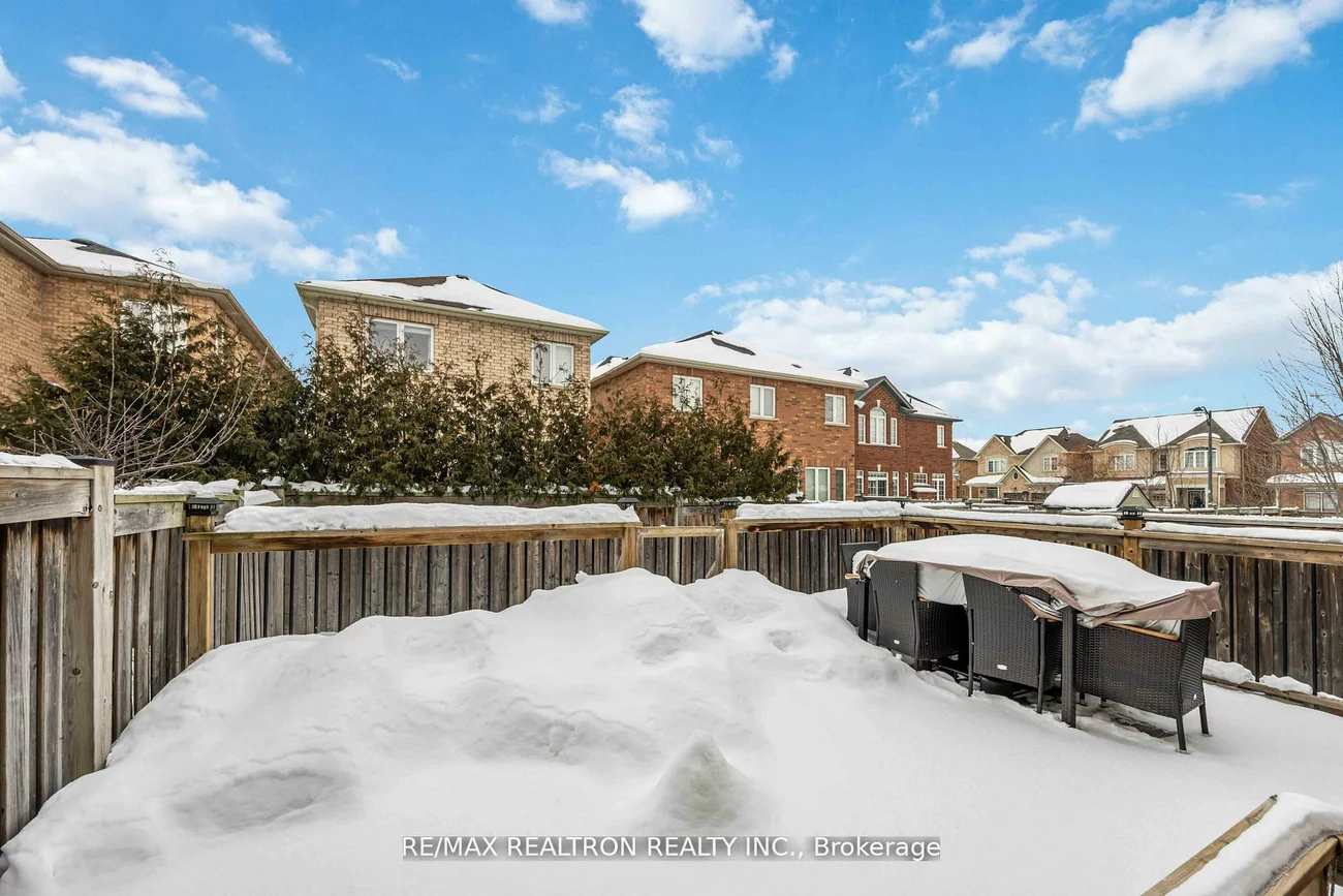 10, White Spruce, Patterson, Vaughan