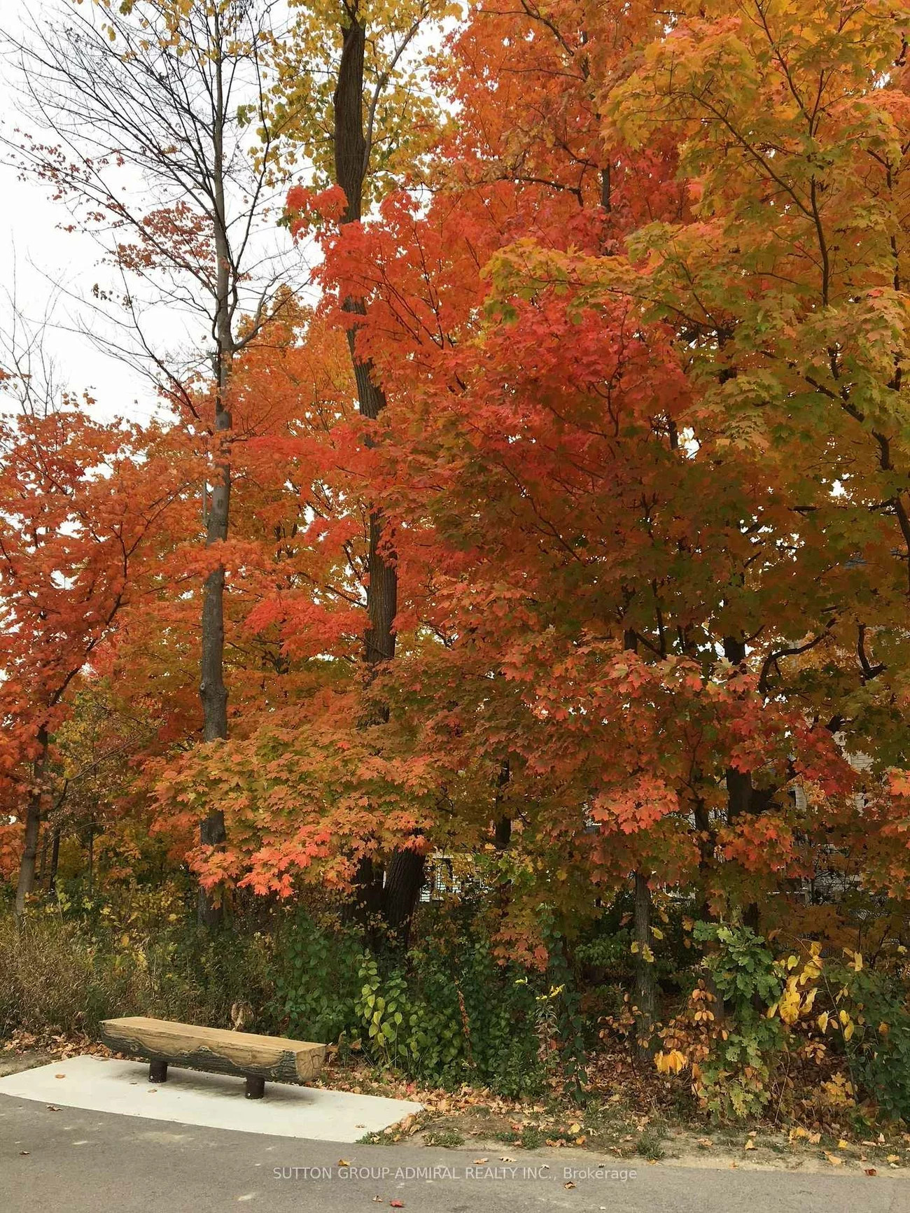 15, Stormont, Vellore Village, Vaughan