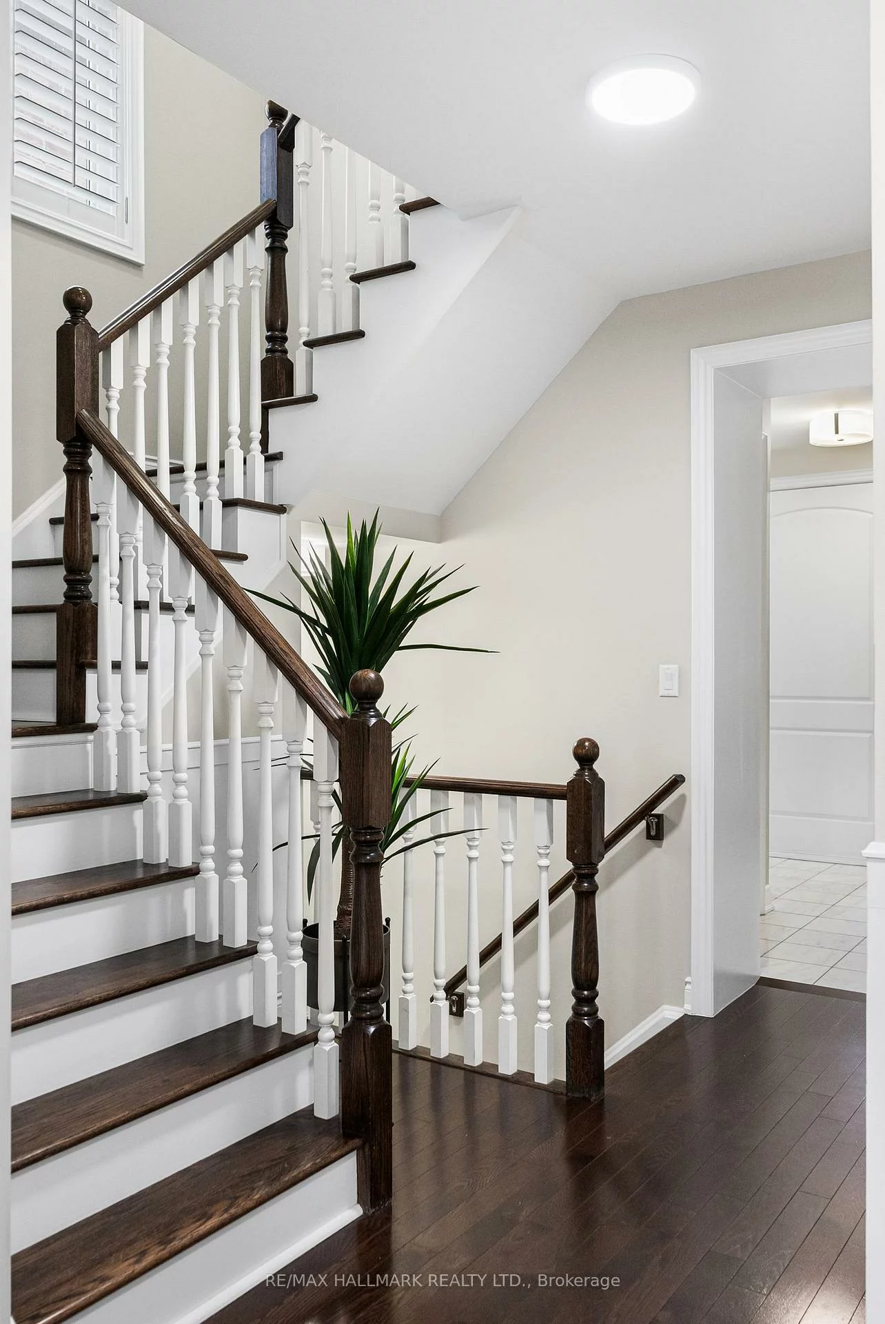 317, Oberfrick, Patterson, Vaughan