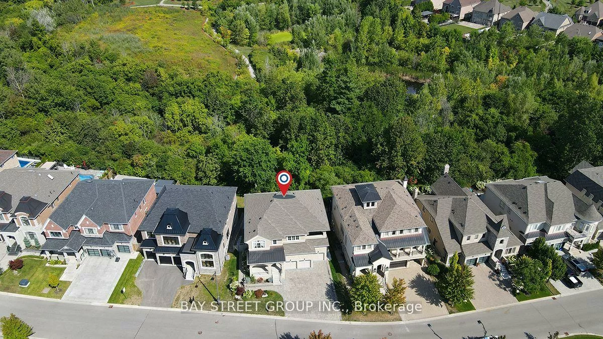 80, LADY JESSICA, Patterson, Vaughan