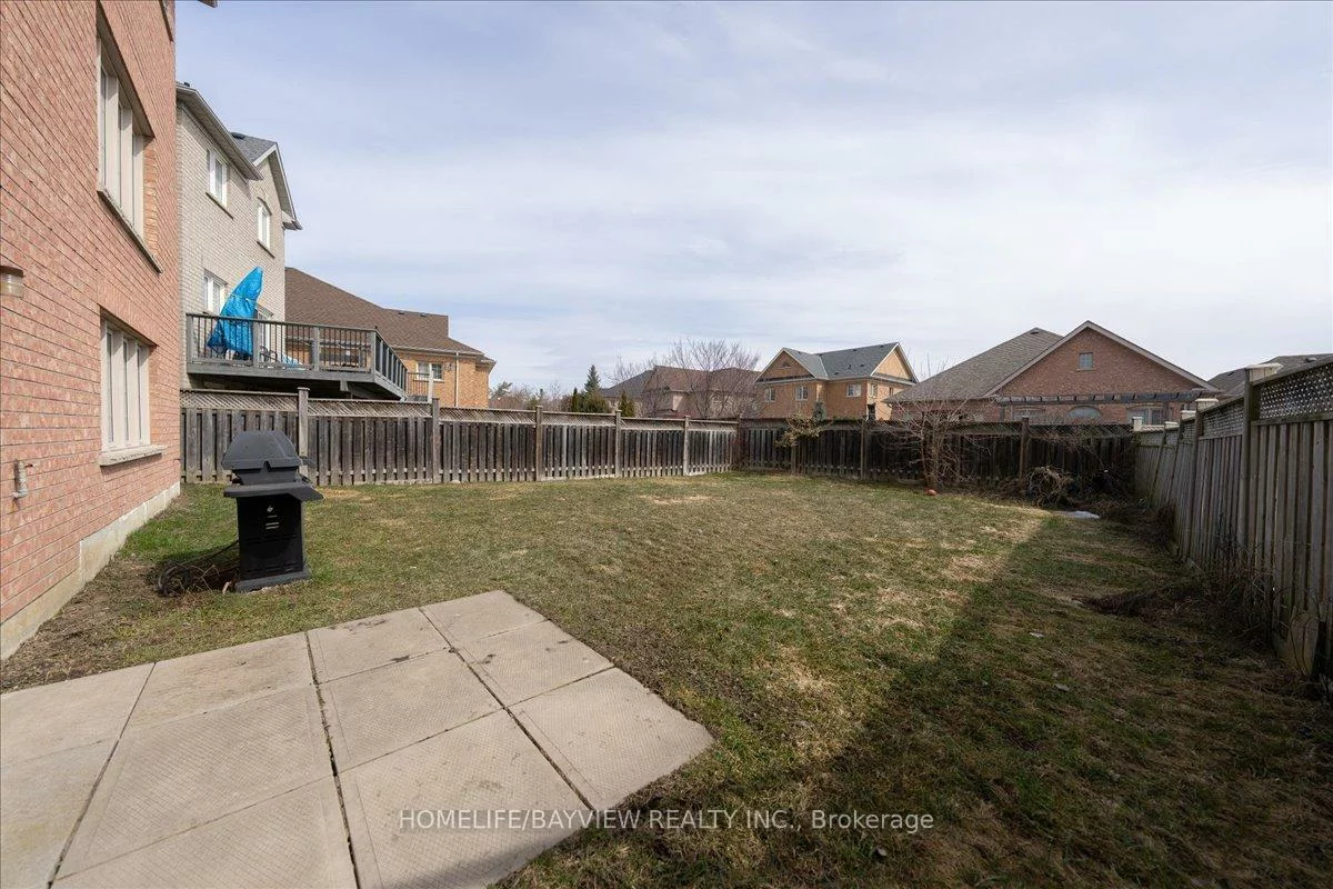 27, Donzi, Patterson, Vaughan