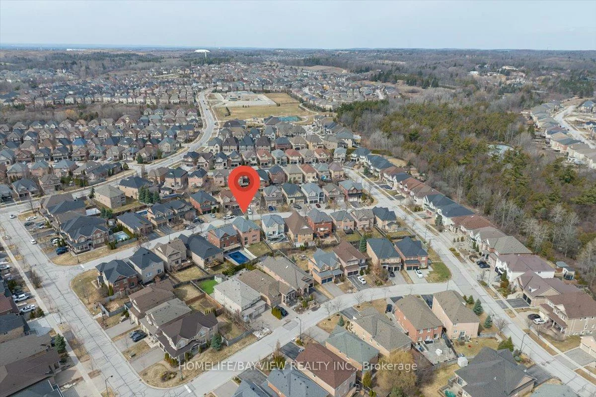 27, Donzi, Patterson, Vaughan