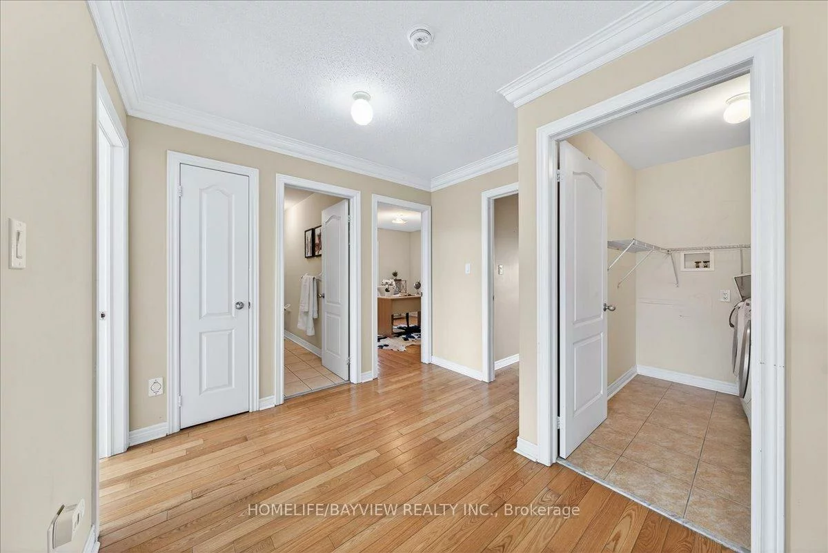 27, Donzi, Patterson, Vaughan