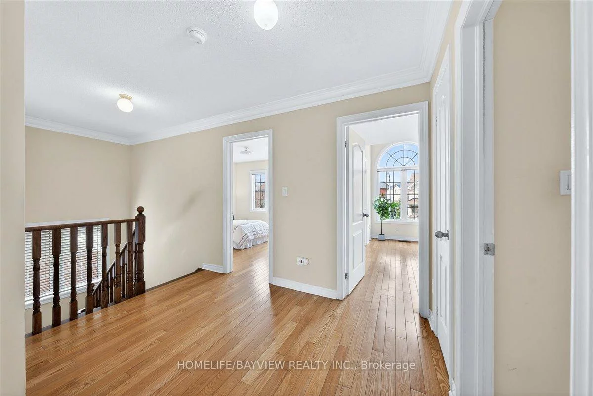 27, Donzi, Patterson, Vaughan