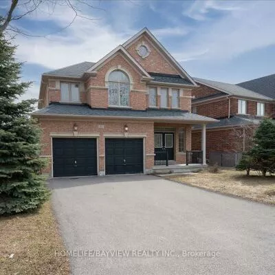 27, Donzi, Patterson, Vaughan