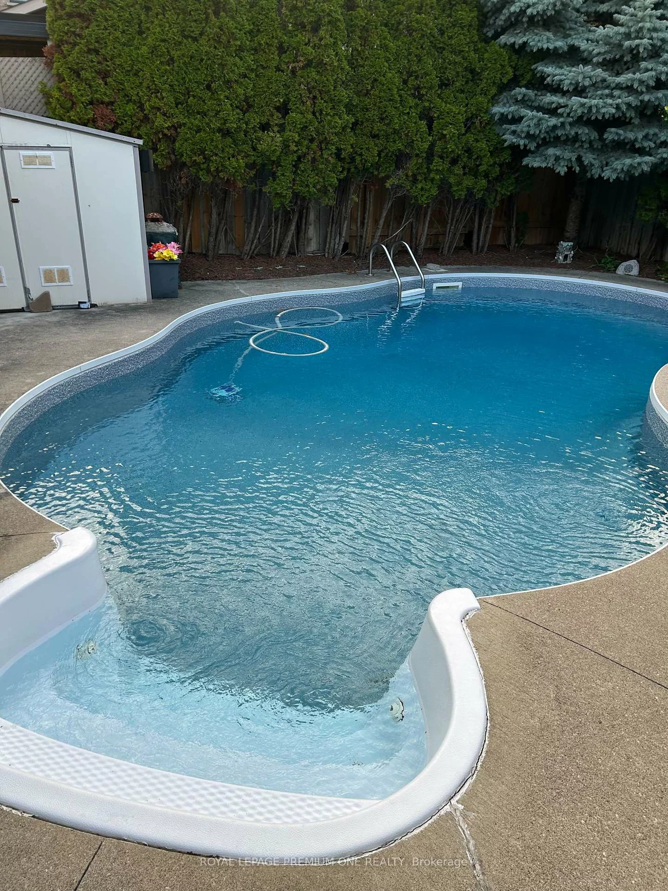 1370, Clarence, Sonoma Heights, Vaughan