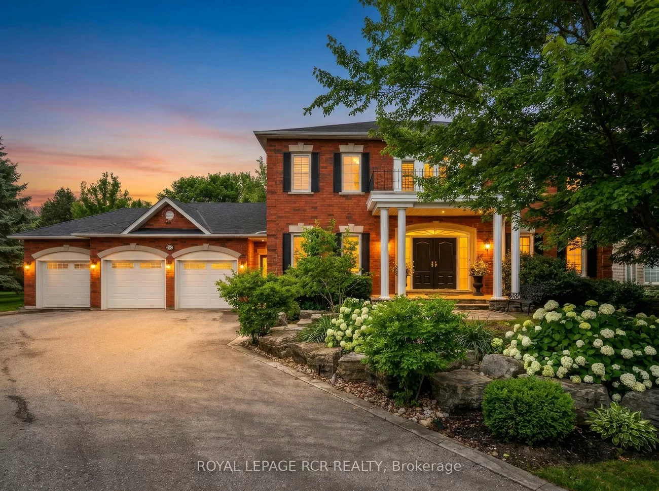 70, English Daisy, Kleinburg, Vaughan