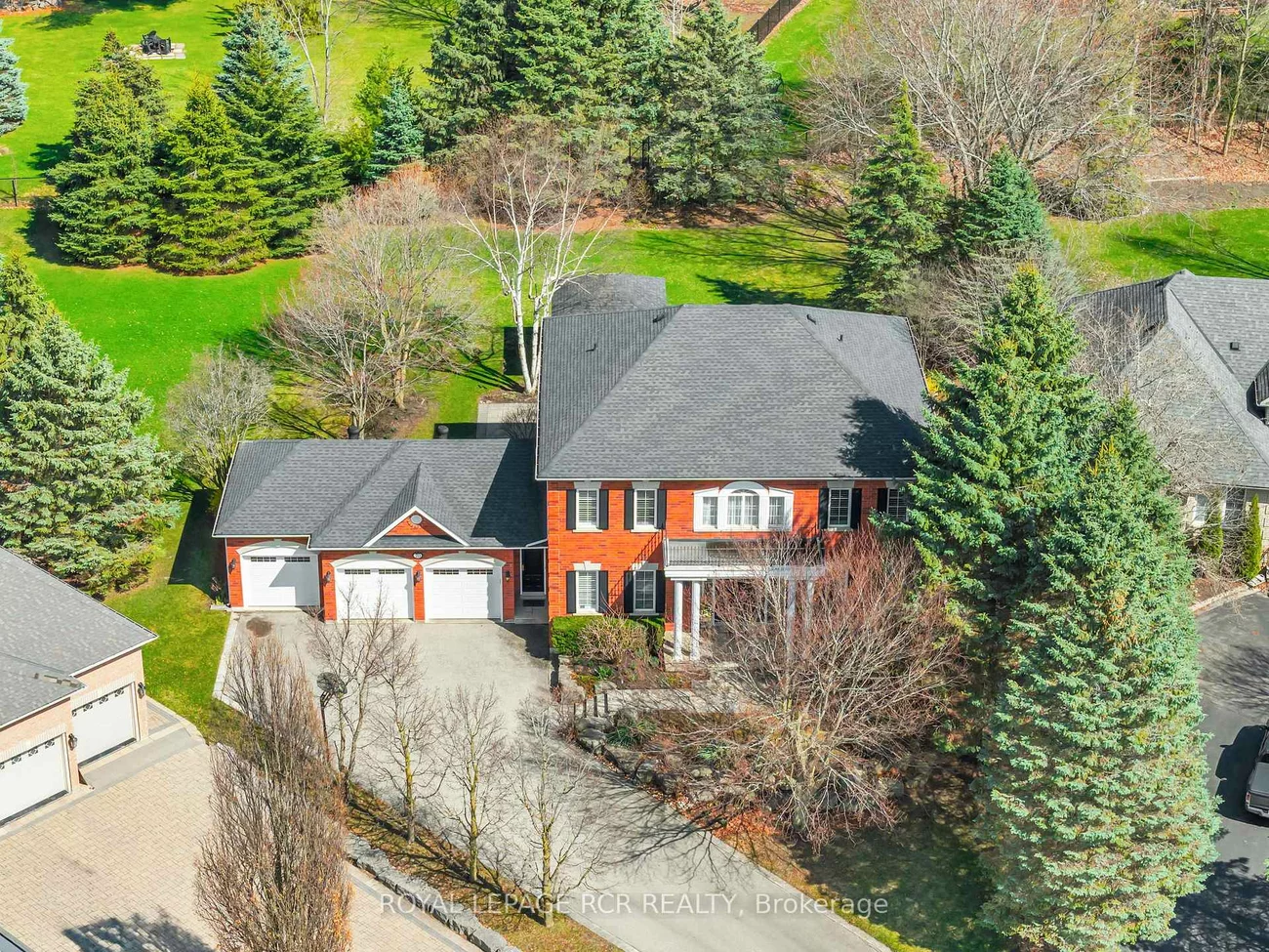 70, English Daisy, Kleinburg, Vaughan