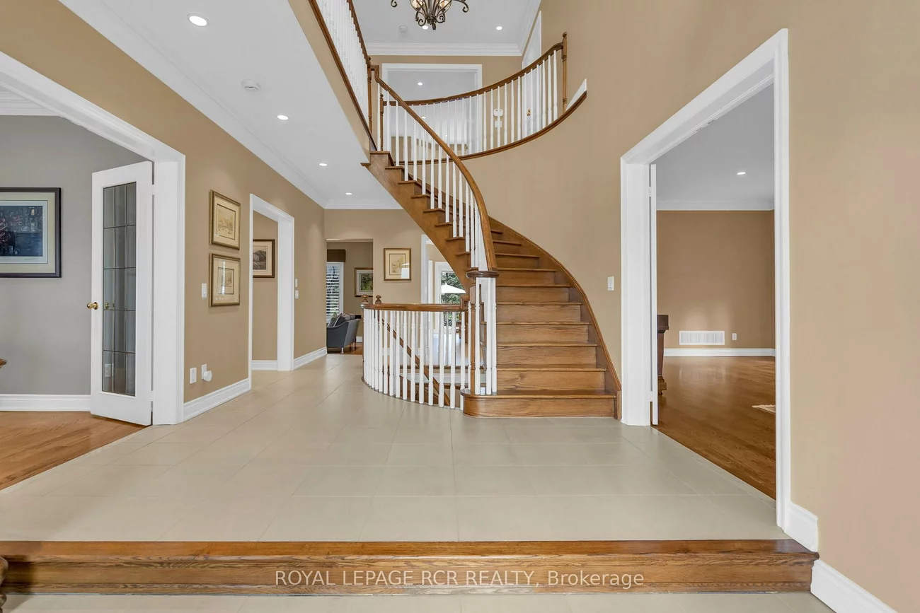 70, English Daisy, Kleinburg, Vaughan