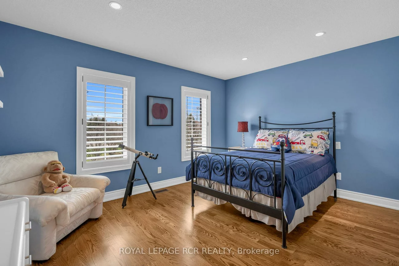 70, English Daisy, Kleinburg, Vaughan