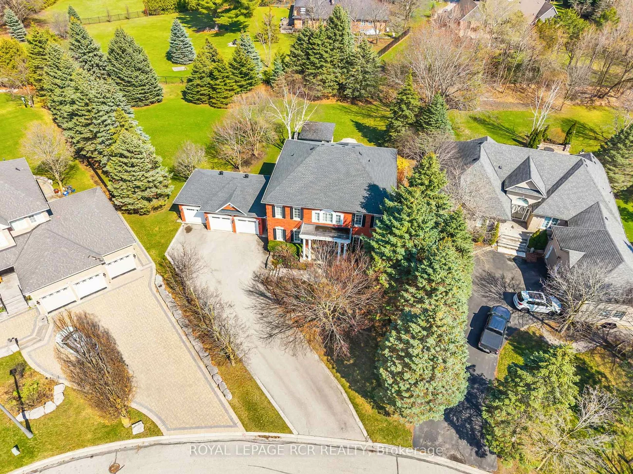 70, English Daisy, Kleinburg, Vaughan