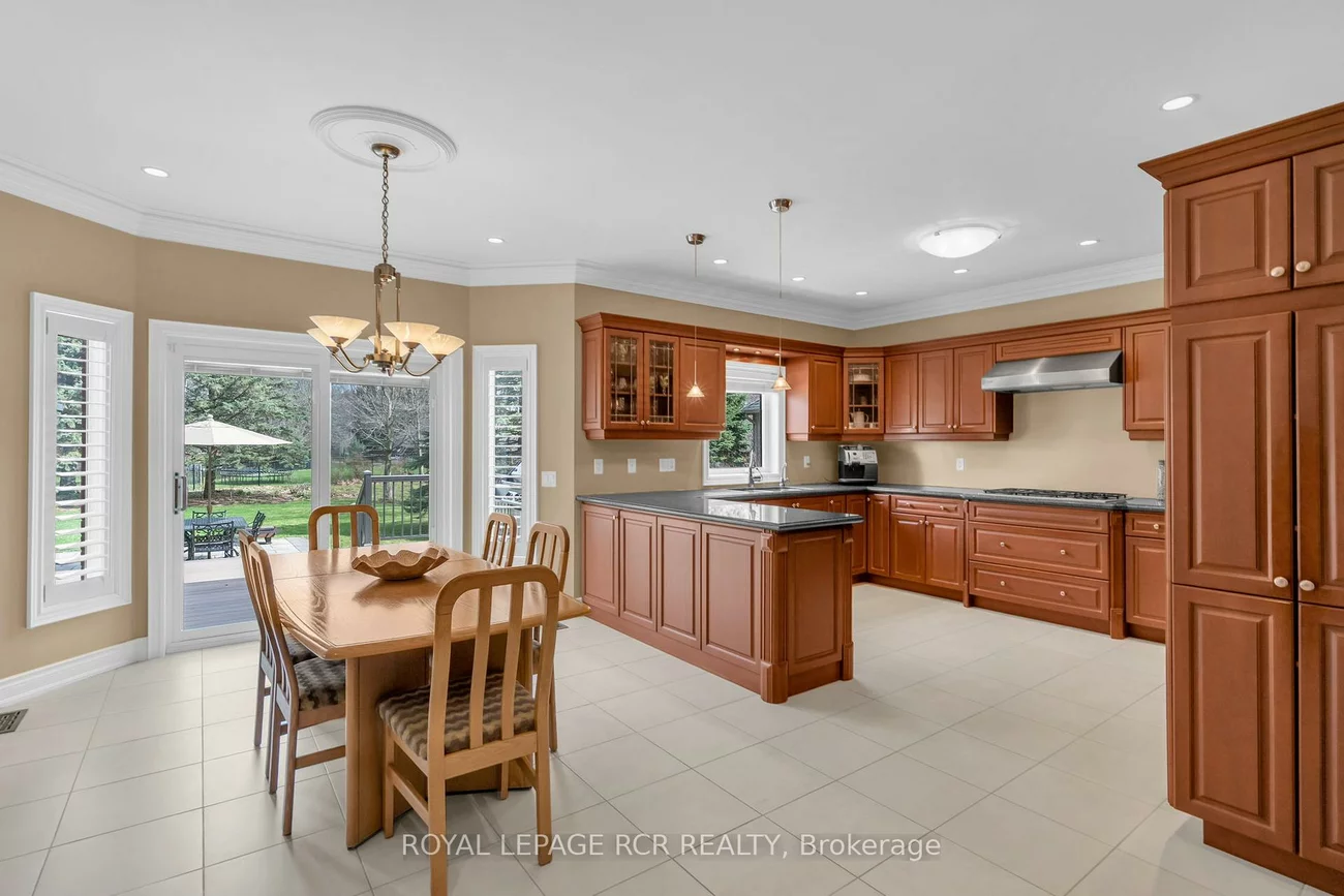 70, English Daisy, Kleinburg, Vaughan