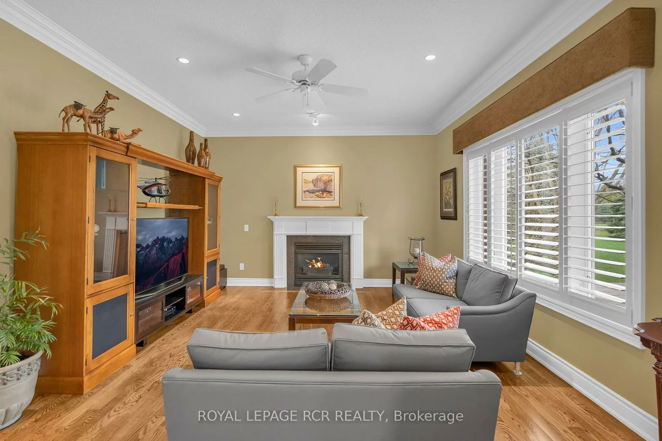 70, English Daisy, Kleinburg, Vaughan