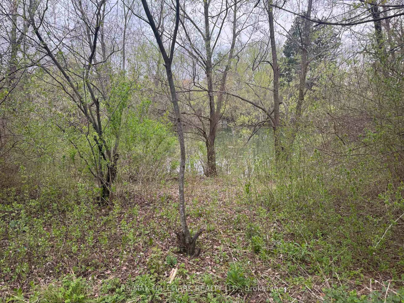 34, Willow Tree, Maple, Vaughan
